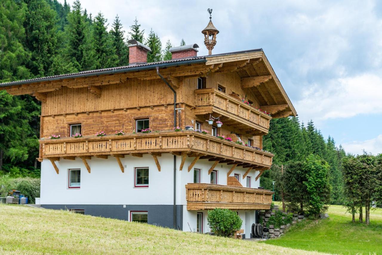 Kesselgrubs Apartements Ski&Badeglück Eben Im Pongau Bagian luar foto